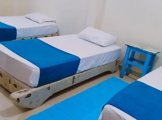 Bed and breakfast Honey House Camp